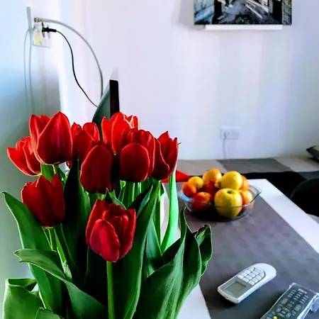 Appartement Center Park And
